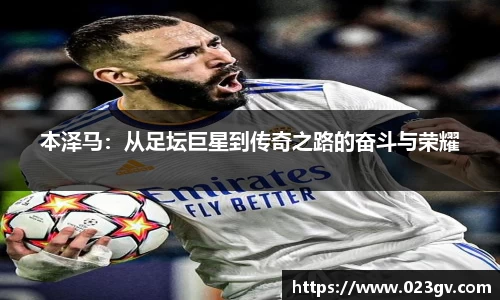 乐球直播免费在线观看